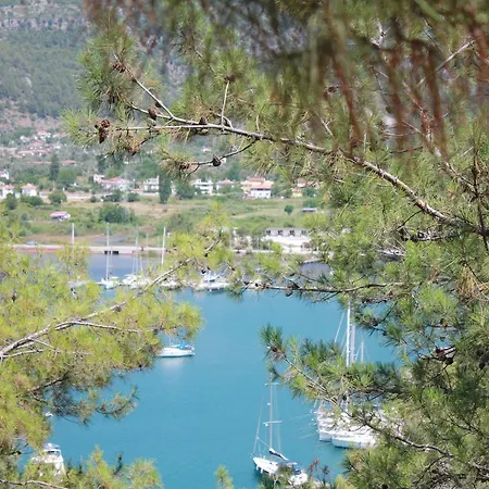 Hotel Palmiye & Marina Orhaniye (Marmaris)