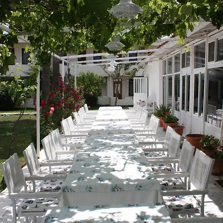 Hotell Palmiye & Marina