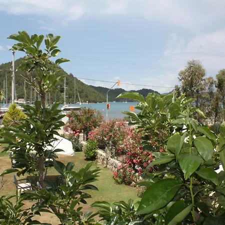 Palmiye & Marina Hotell 2*