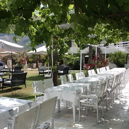 מלון Palmiye & Marina 2*