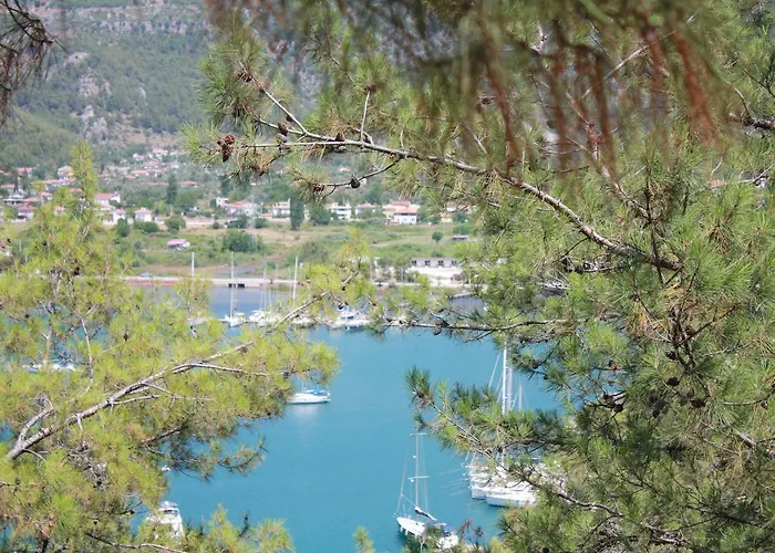 Hotel Palmiye & Marina Orhaniye (Marmaris)